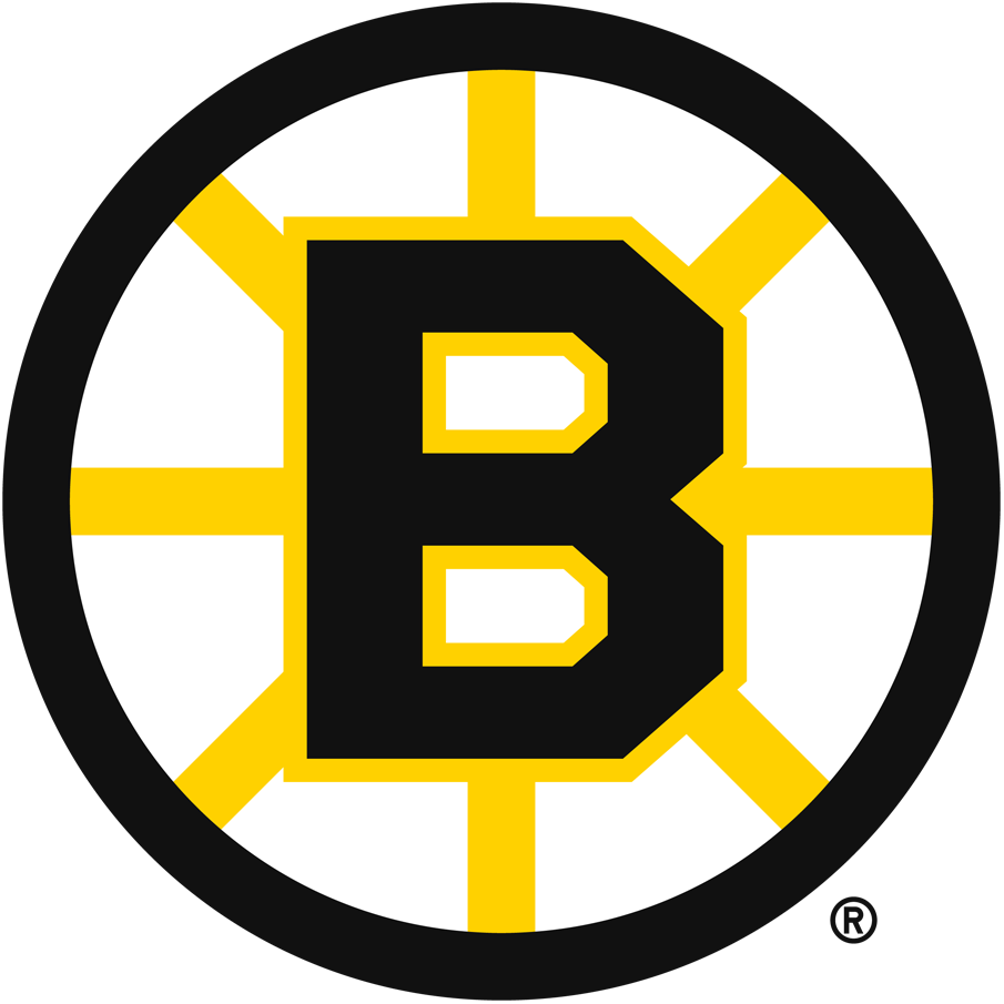 Boston Bruins 1949-1995 Primary Logo t shirts iron on transfers